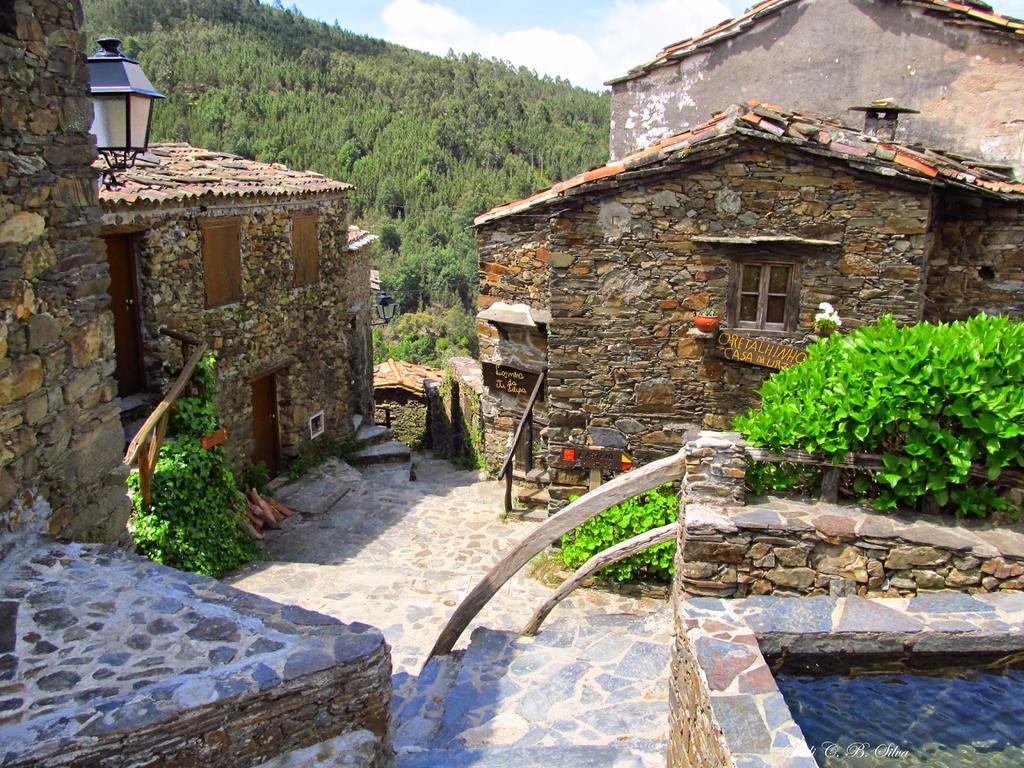 Vila Vivenda Pirilampo Vila Nova de Poiares Exteriér fotografie